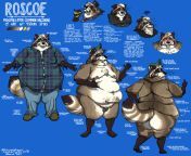 NSFW (nudity) - A comprehensive ref guide for my raccoon sona Roscoe (my art) from roscoe