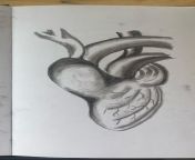 HeArt - quick sketch trying to blend the idea of a real heart and the iconic heart shape, just playing with shading and doodling from twispike sketch foalcon