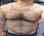 Hairy cub chest after workout from cub rape furry