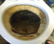 My family does NOT know how to clean, so I&#39;ve taken on the onerous task of deep cleaning our ENTIRE house. Is there any hope for this toilet and if so, how do I save it? from mother in law mother in law does not know how to kiss your daughter teach her something from outside my daughter said hu 2