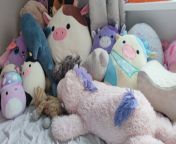 Finally managed to clean up and organize my stuffies (I&#39;d include all their names but there are just too many, so I&#39;ll name a few: The big brown cow is Ronnie, the pink unicorn is Pinkie, the orange cat is Kitty) from nastya cat godess kitty