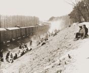 A Holocaust train from Bergen-Belsen to Theresienstadt is liberated by the United States Army on April 14, 1945. [1486x1200] from united emirates army