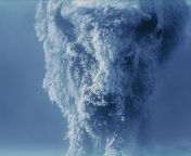 ? This frozen bison could be a boss in a video game ? from boss hot sense video