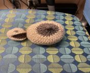 A woman at my work crocheted these to help teach breastfeeding to new mothers from indian woman breastfeeding to puppy