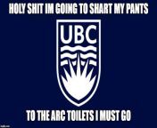It would be a shame if I didn&#39;t pay my favourite UBC spot a daily visit from www scq ubc ca