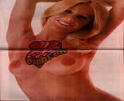 Suzanne Somers centerfold- 1970s (NSFW) from suzanne mcbain