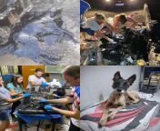 В Аргентине дети обнаружили нечто, покрытое странной черной субстанцией. Это оказалось собакой, которая упала в яму с какими-то отходами. Волонтеры 9 часов отмывали бедное животное, истратив на это 50 л масла, и в итоге дворняжка была спасена. Такие людиfrom дети в сперме