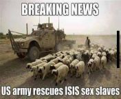 Breaking News! US Army frees sex slaves! from army lady sex