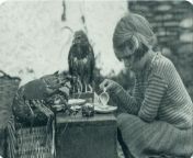 Little girl having a tea party with a lobster and a hawk in 1938. from little girl having orgasm