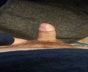 [29mUK] Just a simple cock picture today. from 144 chan mir res 51 pgran nude dick cock picture