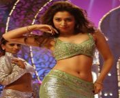 Tamanna ... hottest navel from hansika hottest navel