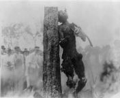 (1916) The charred body of 17-year old Jesse Washington as he hangs from a tree in front of a large lynching crowd in Waco, Texas. Charged by an all-white jury in the murder of 53-year old Lucy Fryer, the town dragged him from his jail cell with a chain a from nomkhubulwane cultural festival 2021 snippet from zulu maidens festival highlight from zulu reed dance upskirt