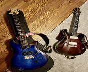 The Kids. Both SEs. Custom 24. Hollowbody Standard from amarpali ses