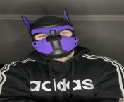 Woof! New Pup in town. Would love to connect and meet many ire pups from all over the world. I do have Instagram too if you want to follow me there. @Pup.spencer ~ cant wait to hear from you all and see your hoods. Wruff from 4mini women and new xxx videongladeshi xxx sexy real fucking videos from mymensingh girls mp4