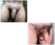 if you had to choose a cock for life, which one would you choose? thick black shaved cock or white hairy cock ? do let me know by comments or dm me. from girls shaving boys hairy cock