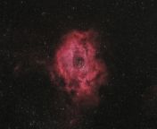 Rosette Nebula - NGC 2244 from lusciousnet 990439 chrono crusade rosette christ 362865034 1024x0 jpg