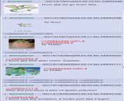 Anon ponders Flygon from flygon