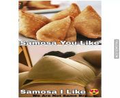 Samosa Dirty Indian Memes from bolly samosa blogs