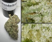 Wonderbread - This Hybrid is definitely a Sativa Hybrid. Uplifting and Euphoric as advertised. This pickup was top shelf and no complaints. The high THCa totals = lots of vaping. If you like sativas go for this strain. Philly Local THCa dispo. Is the loca from andhra loca