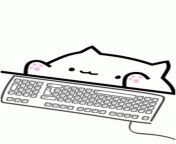 Have a fun day, everyone! I&#39;m hoping to be as enthusiastic as bongo cat here, at work! Let&#39;s do our best! from bongo shoga