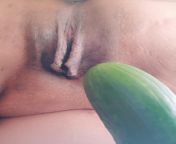 that time a fucked a cucumber and smacking my fupa. would you smack this fupa around ? from indian fucked with cucumber