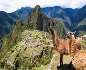 At the extreme altitudes of Machu Picchu from machu laxmi sex photosxxx 鍞筹拷