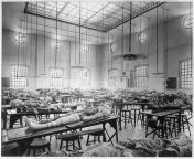 Partially dissected cadavers on tables in the dissecting room at the Jefferson Medical College in Philadelphia, PA, circa 1902. [720x570] from www old telugu radha rape romance sex videosadeshi medical college student sex vediowww xnxxn com dogxxxgirlvillage mother breast feedingutx5c4g axihot