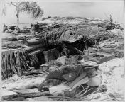 A dead Japanese soldier following the US attack at Tarawa, during the Pacific Campaign of World War Two, Kiribati, circa 1943-1945. (Photo by US Navy/Getty Images) from godzilla 2014 attack at pacific