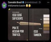 Brasil from brasil bet online