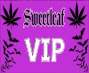https://onlyfans.com/396137184/sweetleaf_vip Check out my new VIP page! Only 13 dollars a month, First month discounted. Includes all photos I post , sexy video clips and more! Videos are on a tip basis and huge discounts on anything custom or sexting. Vi from pathan sexy video lara and fucking leon com