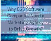 Why B2B Software Companies Need a Marketing Agency to Drive Growth? - https://www.namasteui.com/why-b2b-software-companies-need-a-marketing-agency-to-drive-growth/ from software tulasi