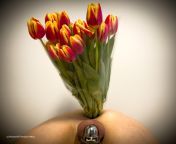 Today my sub gave me the flowers. I couldn’t find any vase so now his ass is my new vase 😊 How long should I use him for this task? 😈 from nextÃƒâ€šÃ‚Â» ade vase xxxod actress changing mms