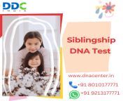 Application for Siblingship DNA Test in India from how make dna test model