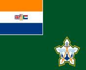 The South African Defence Force flag has a Flag in a flag in a flag in a flag. from flag 3d