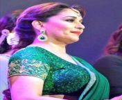 perfect view of Madhuri Dixit ? from xxx gifs madhuri dixit moving photasil scho