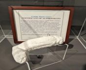 A plaster cast of Jimi Hendrix&#39;s penis is on display at the Icelandic Phallological Museum from jimi meaux onlyfan