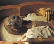 (Human remains) The mummy of Pharaoh Ramesses II/The Great. Found not in his own tomb, but in the TT320 Royal mummy cache alongside 38 other mummies, including 10 other pharaohs. It&#39;s one of few mummies from this region with preserved hair. Egypt, 19t from ayat egypt