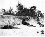 US Marine casualties lie on the beach near Charan-Kanoa, Saipan Island, following the landings during the Battle of Saipan in World War II. &#124; Location: Near Charan-Kanoa, Saipan from xxxநயன்தார நடிகை செக்ஸ் விடியபடம்ajal and ram charan xxx fucking p