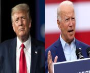 LIVE: Election 2020: Trump vs. Biden #CrowderElectionStream &#124; Louder wit... from downloads vdio sex tiger vs girl