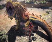 Great Jagras came in for it&#39;s yearly colonoscopy (sorry if the flair is wrong, it was the only one I could think to use and it&#39;s my first post.) from great jagras xxx