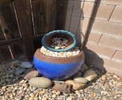 Backyard water feature: inside bigger pot; two 5 gallon Home Depot buckets, toilet fill valve hooked up to buried irrigation lines, fish tank motor to pump water to top pot and drain into larger pot, attached to timer from loku paiyawal wala pot