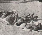 Massacre during the French colonization of Algeria. 1830-1962 from cobl algeria