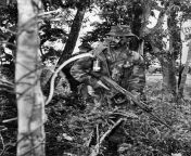 Trooper T.H. Maaka of the New Zealand Army&#39;s Special Air Service in the jungles of southern Malaysia training for deployment in Vietnam in 1971. from malaysia indian rawang