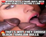TAMIL NIGGAS🖤🍆 from mithila xxx girlpathan sex 3gpaunty saree sexchennai tamil sexব
