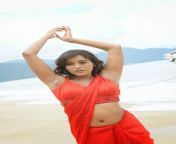 Rashmi Gautam navel in red saree from rashmi gautam hottest