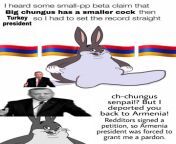Wholesome 100 chungus says no more Turk ??? from turk kurtadult