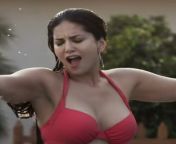 Sunny Leone from sunny leone xxx sex hot videoan womean cricketar nagarajan niranjana xxx india video com