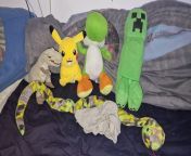 I finally did a family photo before 2023 so meet my stuffie family Rexy the Trex Liv the Pichachu Emily the Yoshi Aly the minecraft mob Snigny the snake Mungy the blankey ????? from priyanka kuanri bohu serial ra actrees real family photo odia