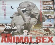 Japanese B2 Poster artwork for documentary Sex And The Animals (1969) from dolphin sex human