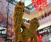 cursed lion dance from lion dance calgary at chinese culture by subang hong teck jason long